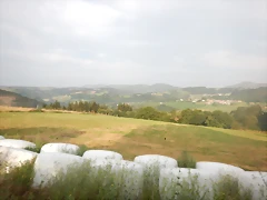 DSCN8819 DSCN8819