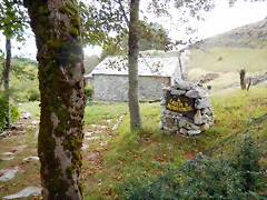 DSCN9924 DSCN9924