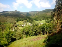 DSCN6186 DSCN6186