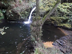 DSCN8769 DSCN8769