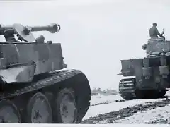 Das Reich PzSS Div. Kursk