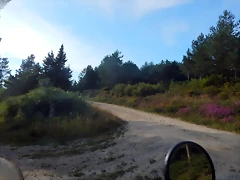 DSCN4442 DSCN4442