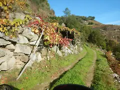 DSCN4480 DSCN4480