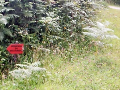 DSCN5813 DSCN5813