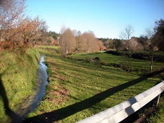 DSCN2160 DSCN2160