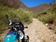 DSCN9358 DSCN9358