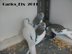 todos 10-3-11