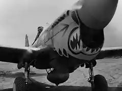 P-40_Warhawk