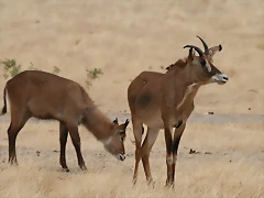 Sigean 02-08-11 024 Sigean 02-08-11 024