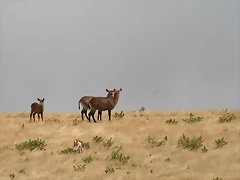 Sigean 02-08-11 054 Sigean 02-08-11 054