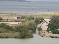 Sigean 02-08-11 998