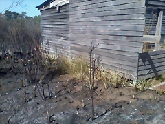 Foto0017