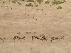 Sigean 02-08-11 124 Sigean 02-08-11 124