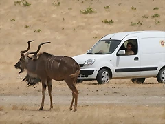 Sigean 02-08-11 060 Sigean 02-08-11 060