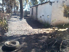Foto0012