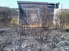 Foto0018