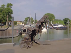 DSCN1126 DSCN1126