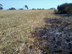 Foto0020