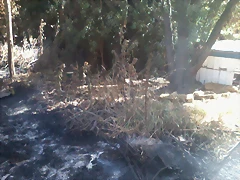 Foto0015