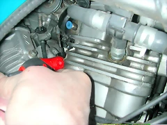 DSCN6404