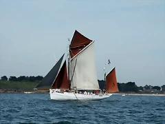 IMG_2532 (Copier) IMG_2532 (Copier)