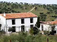 20, cortijo, marca