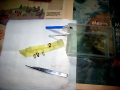 IMG_2930 (3) IMG_2930 (3)