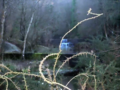 IMG_0535 IMG_0535