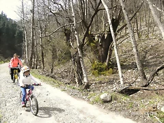 R0012395 R0012395
