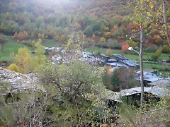 DSCN6124 DSCN6124