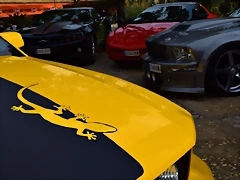DSC_0864 DSC_0864