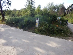 DSCN4435 DSCN4435