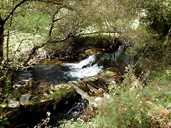 DSCN8390 DSCN8390