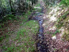 DSCN2095 DSCN2095