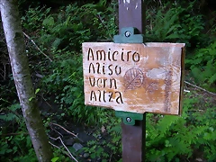 DSCN2223 DSCN2223