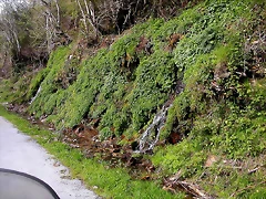DSCN9066 DSCN9066