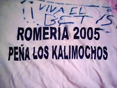 camiseta1 camiseta1