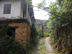 DSCN6136