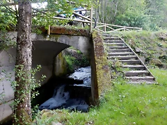 DSCN0184 DSCN0184