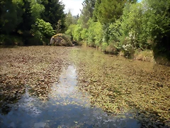 DSCN5351 DSCN5351