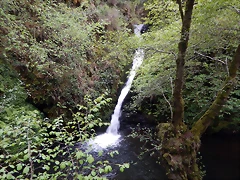 DSCN0717 DSCN0717