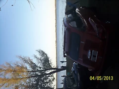 100_5338 100_5338