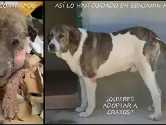 Cratos  antes y despues