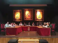 pleno la voz