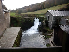 DSCN0575 DSCN0575