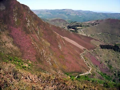 DSCF2532 DSCF2532