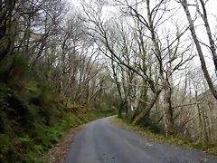 DSCN4236 DSCN4236