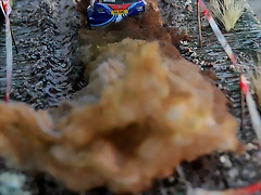 DSC_1371 DSC_1371