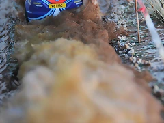 DSC_1373 DSC_1373