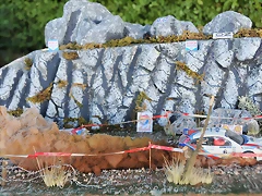 DSC_1367 DSC_1367